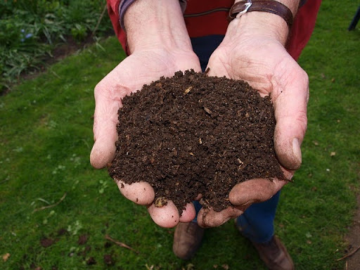 litière jardin compost